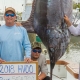 Outer Banks events - Hatteras Village Offshore Open - fishing tournament