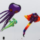 Rogallo Kite Festival - Outer Banks Events