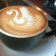 Treehouse Coffee - Outer Banks Events
