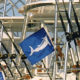 Outer Banks fishing tournament - Pirates Cove