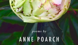 Anne Poarch - Poetry Book Signing - Outer Banks