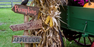 Outer Banks events - Halloween - pumpkin patch - Island Farm