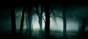 Outer Banks events - Halloween - Wanchese Woods haunted trail