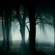 Outer Banks events - Halloween - Wanchese Woods haunted trail