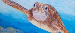 Outer Banks events - Seaside Art Gallery - Animals in Art Show - Coastal Humane Society