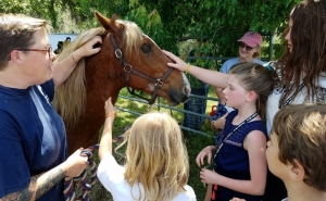 Outer Banks events - Corolla wild horses - meet a mustang - Sanctuary Vineyards