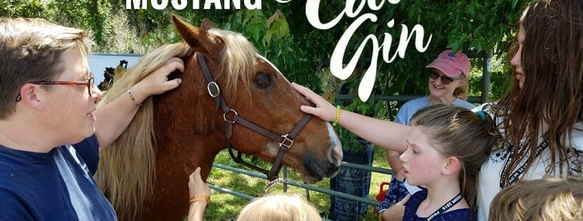Outer Banks events - Corolla wild horses - meet a mustang - Cotton Gin