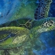 Outer Banks art gallery exhibits - Ocracoke Artist Group Show - Dare County Arts Council