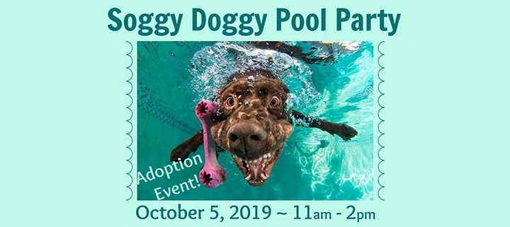 https://outerbankseventscalendar.com/wp-content/uploads/2019/09/Outer-Banks-SPCA-Pool-Party.jpg
